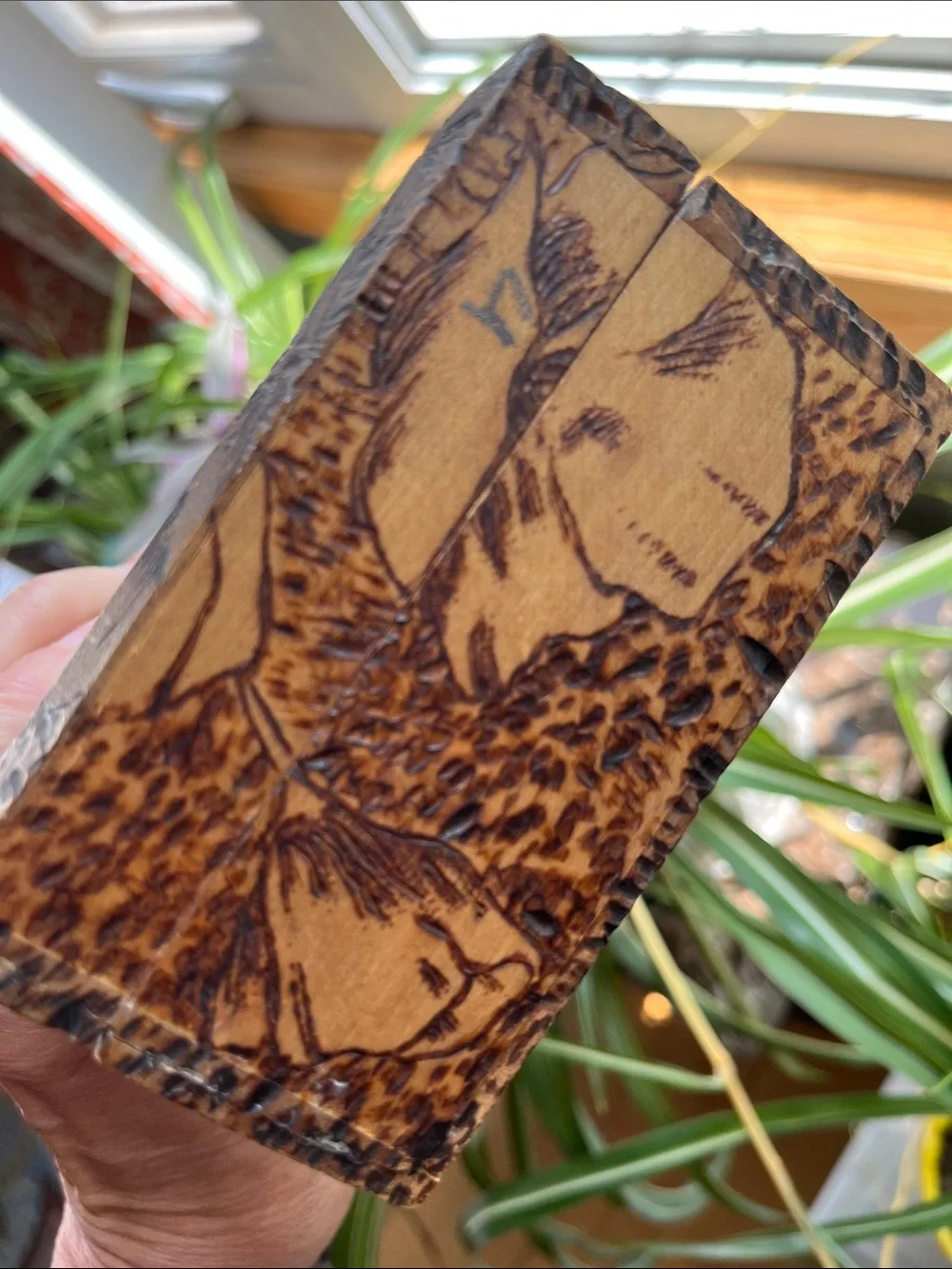 Vtg Pyrography Wooden Glove Jewelry Dresser Trinket Box Poppies Floral Design